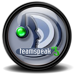 TeamSpeak 3 server